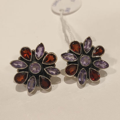 Picture of Earrings Brown & Purple