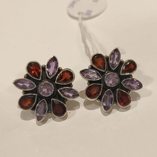 Picture of Earrings Brown & Purple